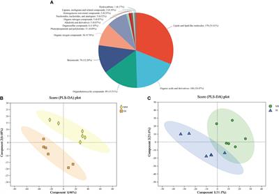 Root exudation under maize/soybean intercropping system mediates the arbuscular mycorrhizal fungi diversity and improves the plant growth